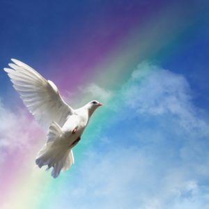 Love in Action - Loving Others