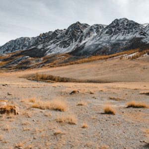 Let Go of Your Expectations (Let Go Meditation)