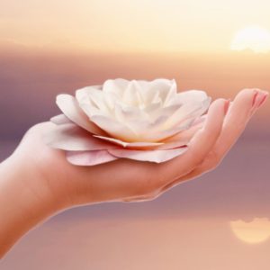Connect to the Stillness Inside (Stillness Meditation)