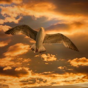 How Can It Be Easy? (Ease Meditation)