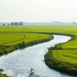 Float Down the River of Ease (Ease Meditation)
