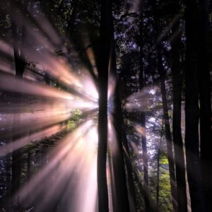 The Power of Clarity (Clarity Meditation)