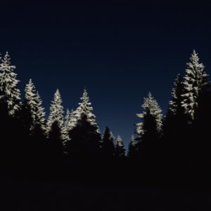 Sleep Sounds to Help You Rest