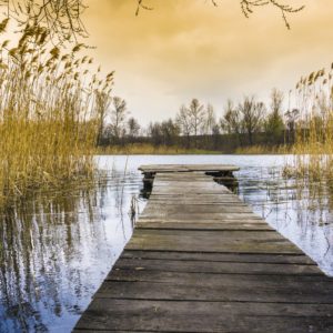 10 Minutes of Silence (Silence) Morning Meditation