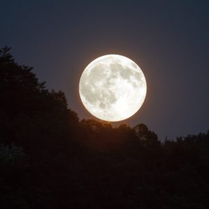 When Your Thoughts Are Haunting You At Night Sleep Meditation
