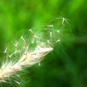 Calm Down After Work Guided Meditation