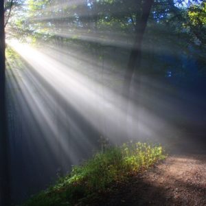 You Are Enough (Self-Love) Morning Meditation