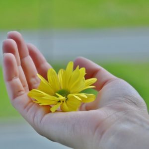 Be Kind to Yourself This Morning (Kindness) Morning Meditation