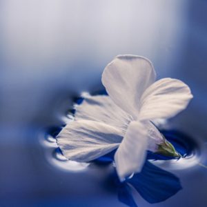 The Power of Patience (Patience) Morning Meditation