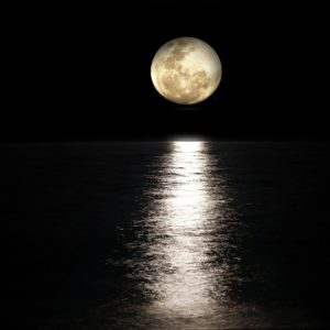 Feel It All Tonight Sleep Meditation