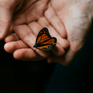 Realign Yourself Guided Meditation