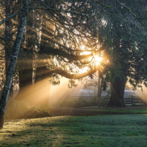 Morning Stress Relief Meditation (Stress Relief) Morning Meditation