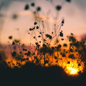 A Sleep Meditation to Prepare You for Tomorrow