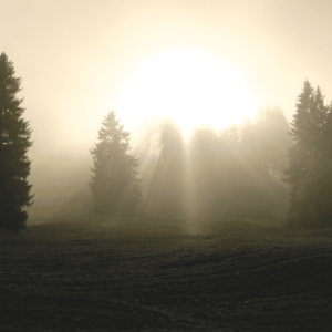 Affirmations for Abundance Guided Meditation
