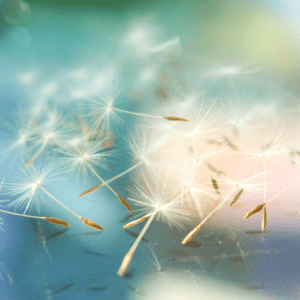 Let Go of Control Guided Meditation
