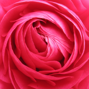 Listen to Your Inner Voice (Inner Voice) Morning Meditation