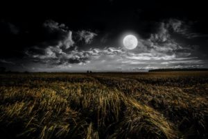 When You’re Feeling Lonely at Night Sleep Meditation