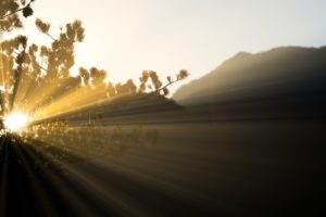 10 Minutes of Presence Morning Meditation