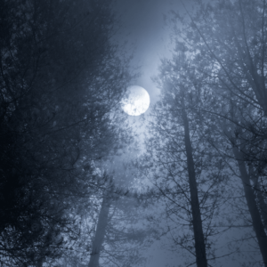 On the Verge of Tears Sleep Meditation