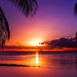 Life Is Beautiful Sleep Meditation
