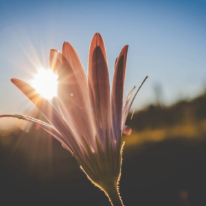 Music for Inspiration (Inspiration) Morning Meditation