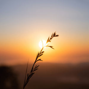 More Space for Silence (Silent Mind) Morning Meditation