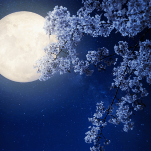 Realign Yourself Sleep Meditation