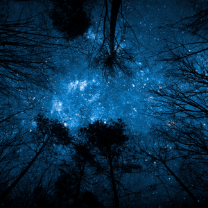 Sleep Talk Down Sleep Meditation