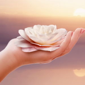 a woman gently holding a white lotus in hand with the sunsetting in the background