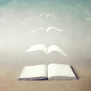 Pages of a book transforming in to birds