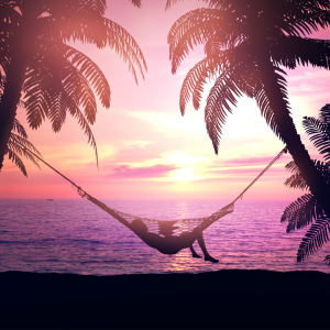 A woman laying on a hammock between to trees on the beach with the sunset in the background
