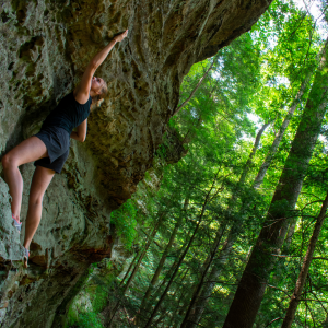 A woman freehand rock climbing in the woods