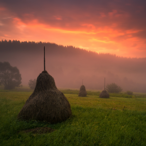 The sunrising over a hay field