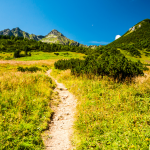 A rocky trail leading into the open mountains